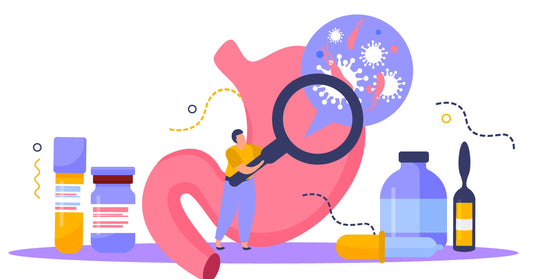 EndoCollab Mastery Plan