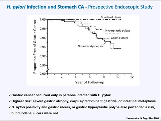 source: https://librepathology.org/wiki/File:Gastric_hyperplastic_polyp_(3)_foveolar_type.jpg